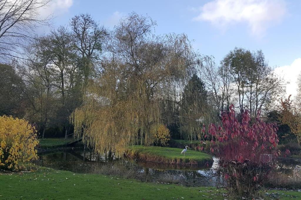 Domaine Du Bois L'abbe Holiday home